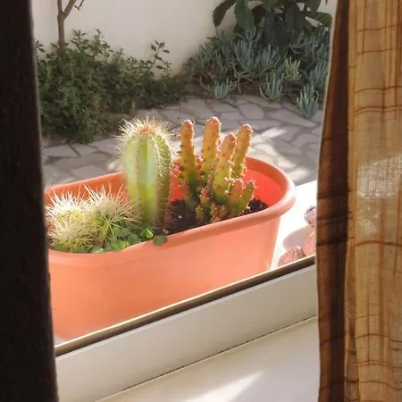 Apartment O Estudio Raposeira (Faro)